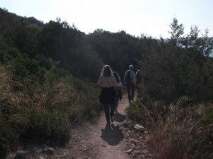 Παλαιολιθικό Σπήλαιο Φράγχθι