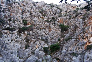 Φαράγγι Καταφύκι