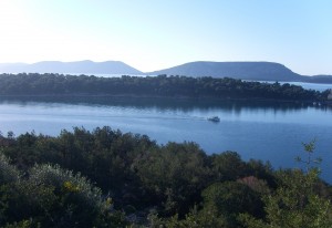 Άλσος Μπίστι