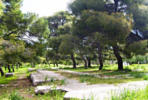 Άλσος Μπίστι