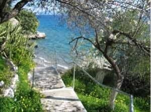 Άλσος Μπίστι