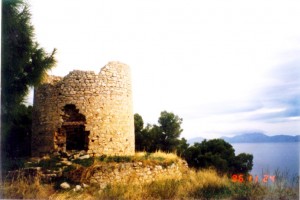 Άλσος Μπίστι