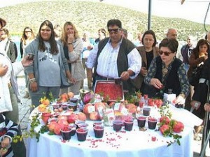 Γιορτή Ροδιού Ερμιόνη