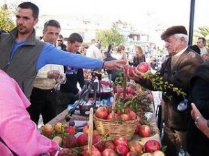 Γιορτή Ροδιού Ερμιόνη