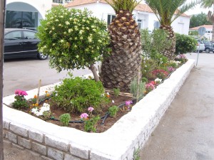 Αναπλάσεις Ερμιόνης