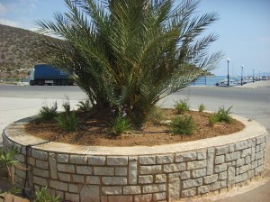 Αναπλάσεις Ερμιόνης